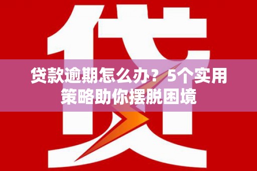 延平贷款逾期怎么办？5个实用策略助你摆脱困境