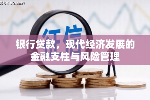 延平银行贷款，现代经济发展的金融支柱与风险管理