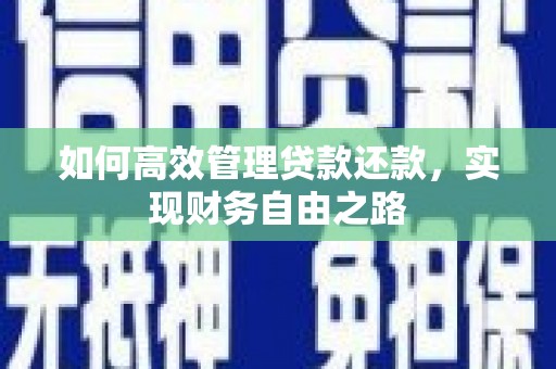 延平如何高效管理贷款还款，实现财务自由之路