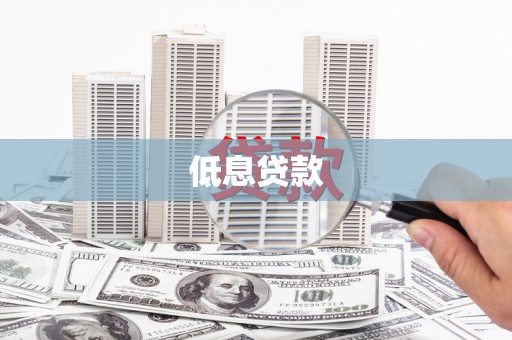 延平低息贷款