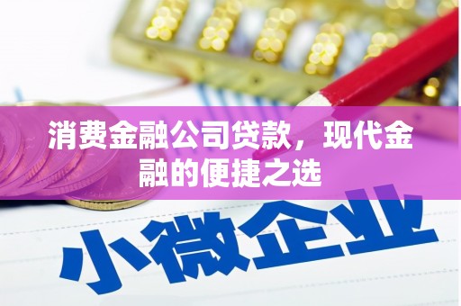 延平消费金融公司贷款，现代金融的便捷之选