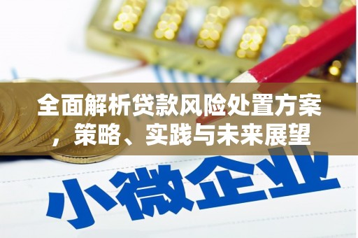 延平全面解析贷款风险处置方案，策略、实践与未来展望