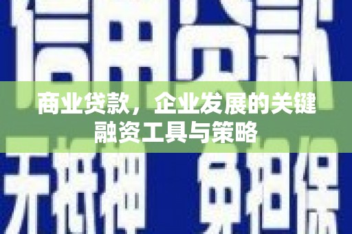 延平商业贷款，企业发展的关键融资工具与策略