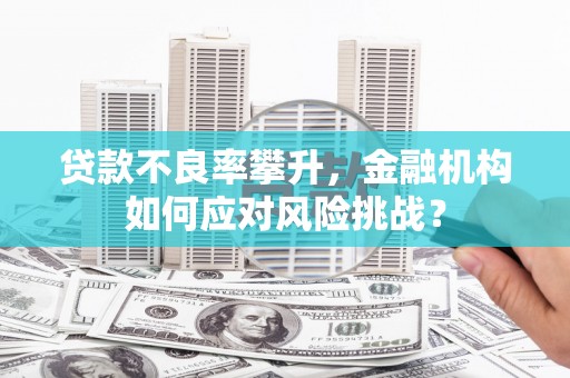 延平贷款不良率攀升，金融机构如何应对风险挑战？