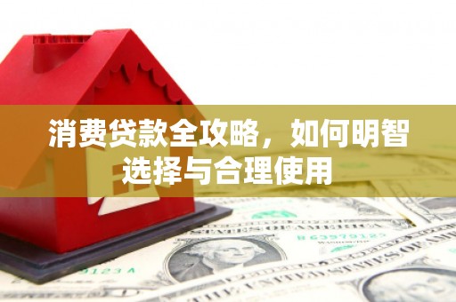 延平消费贷款全攻略，如何明智选择与合理使用