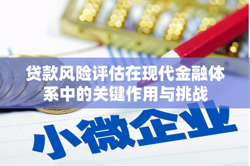 延平贷款风险评估在现代金融体系中的关键作用与挑战