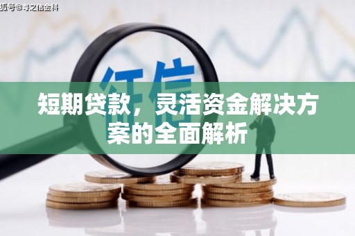 延平短期贷款，灵活资金解决方案的全面解析
