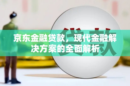 延平京东金融贷款，现代金融解决方案的全面解析