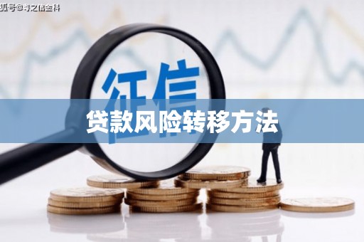 延平贷款风险转移方法