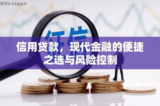 延平信用贷款，现代金融的便捷之选与风险控制