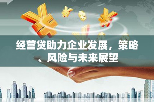 延平经营贷助力企业发展，策略、风险与未来展望