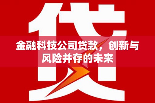延平金融科技公司贷款，创新与风险并存的未来