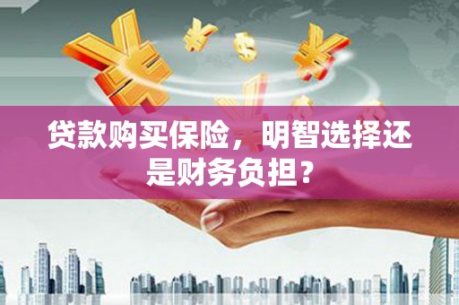 延平贷款购买保险，明智选择还是财务负担？
