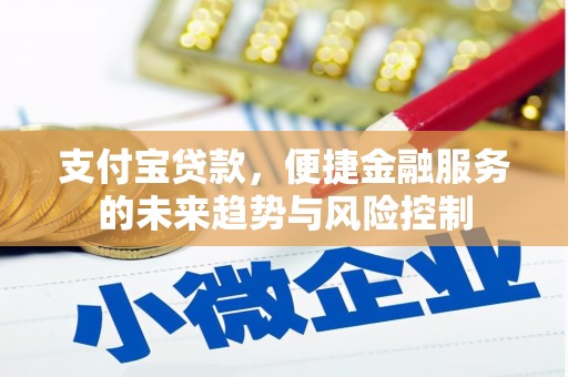 延平支付宝贷款，便捷金融服务的未来趋势与风险控制