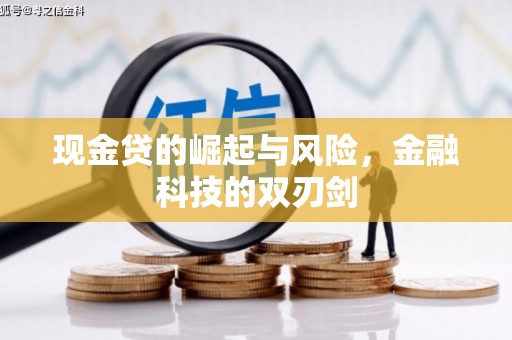 延平现金贷的崛起与风险，金融科技的双刃剑