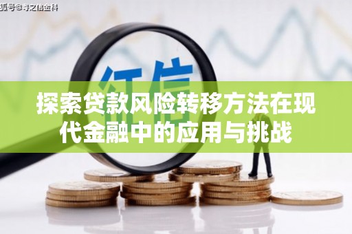 延平探索贷款风险转移方法在现代金融中的应用与挑战