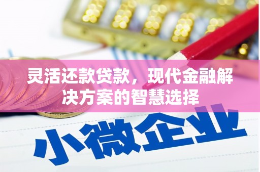 延平灵活还款贷款，现代金融解决方案的智慧选择