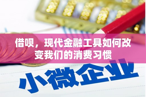延平借呗，现代金融工具如何改变我们的消费习惯