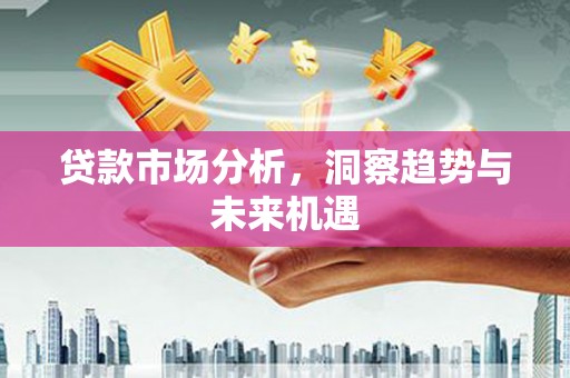 延平贷款市场分析，洞察趋势与未来机遇