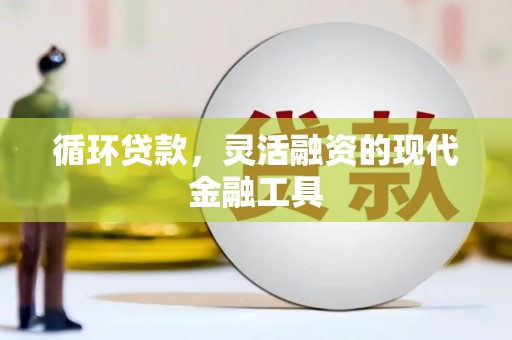 延平循环贷款，灵活融资的现代金融工具