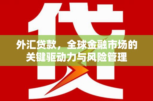 延平外汇贷款，全球金融市场的关键驱动力与风险管理
