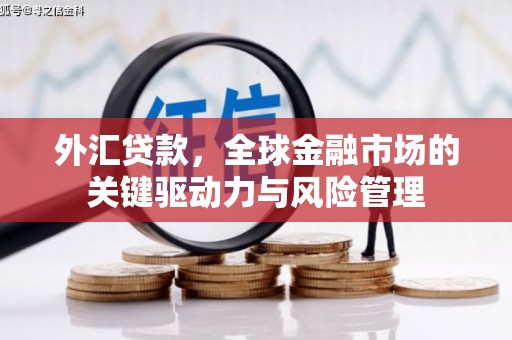 延平外汇贷款，全球金融市场的关键驱动力与风险管理