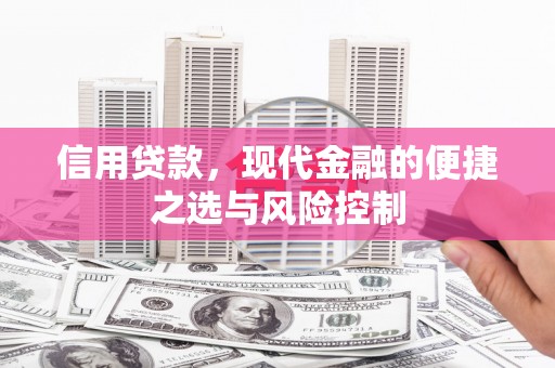 延平信用贷款，现代金融的便捷之选与风险控制