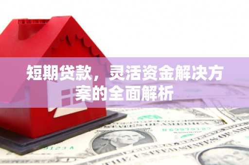 延平短期贷款，灵活资金解决方案的全面解析