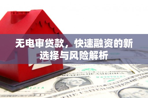 延平无电审贷款，快速融资的新选择与风险解析