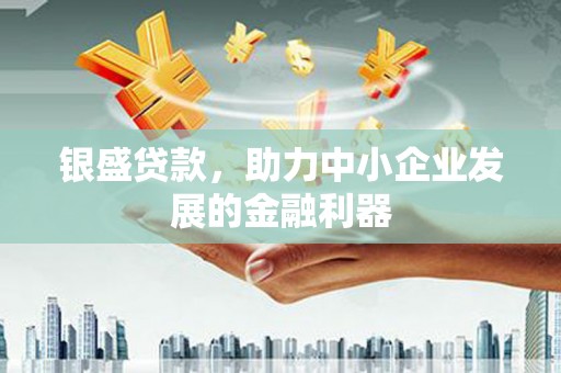延平银盛贷款，助力中小企业发展的金融利器
