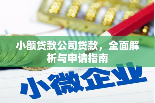 延平小额贷款公司贷款，全面解析与申请指南