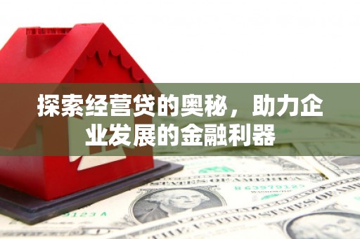 延平探索经营贷的奥秘，助力企业发展的金融利器