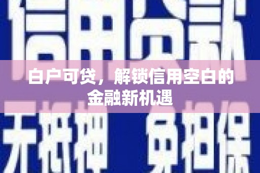 延平白户可贷，解锁信用空白的金融新机遇