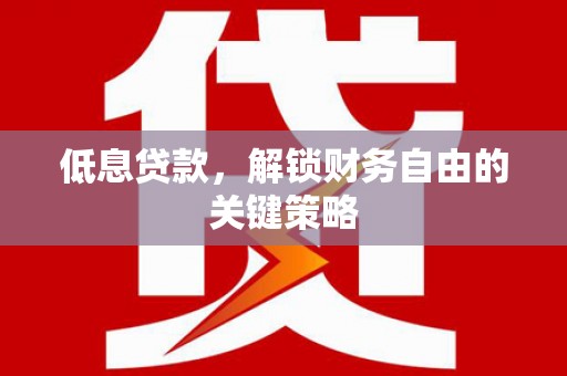 延平低息贷款，解锁财务自由的关键策略