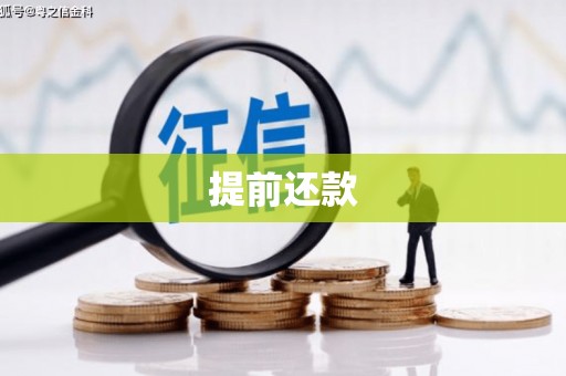 延平提前还款