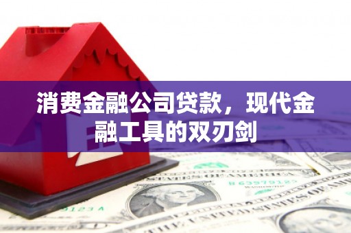 延平消费金融公司贷款，现代金融工具的双刃剑