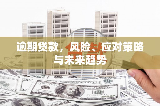 延平逾期贷款，风险、应对策略与未来趋势