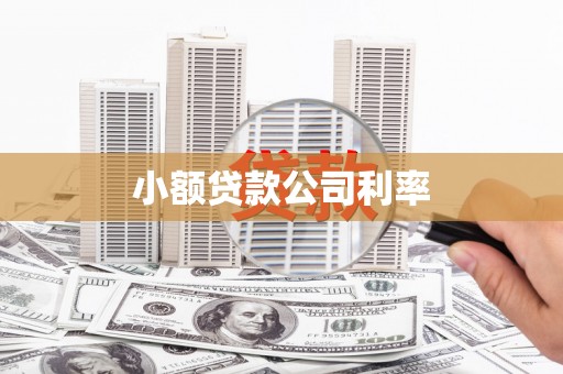 延平小额贷款公司利率