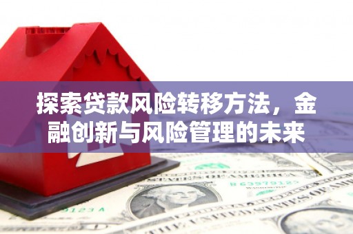 延平探索贷款风险转移方法，金融创新与风险管理的未来