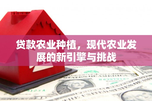 延平贷款农业种植，现代农业发展的新引擎与挑战