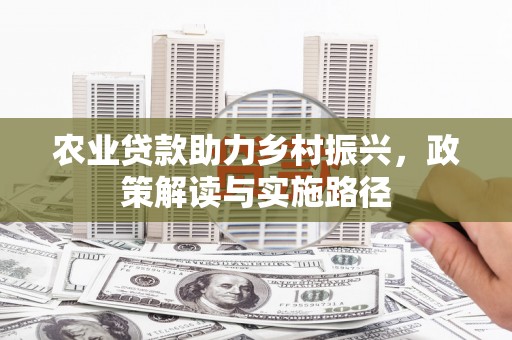 延平农业贷款助力乡村振兴，政策解读与实施路径