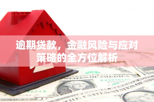 延平逾期贷款，金融风险与应对策略的全方位解析