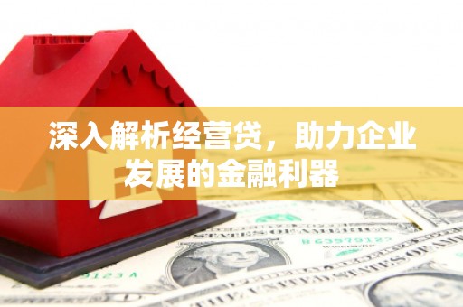 延平深入解析经营贷，助力企业发展的金融利器