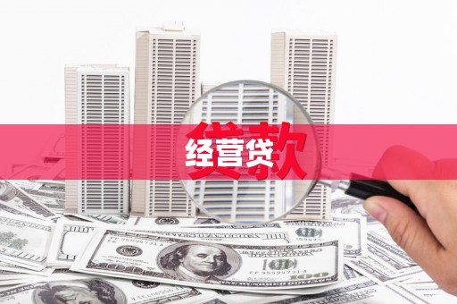 延平经营贷