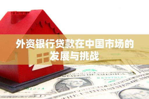 延平外资银行贷款在中国市场的发展与挑战