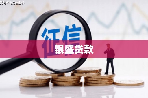 延平银盛贷款