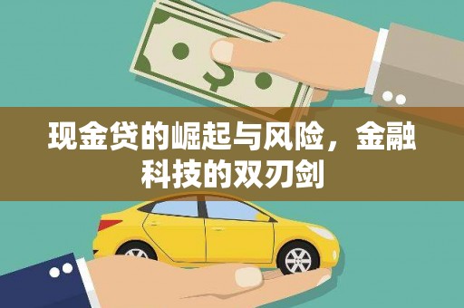 延平现金贷的崛起与风险，金融科技的双刃剑