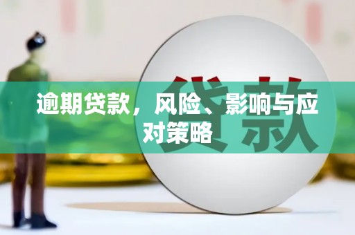延平逾期贷款，风险、影响与应对策略