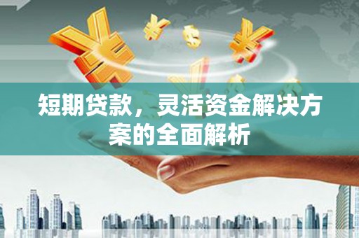 延平短期贷款，灵活资金解决方案的全面解析