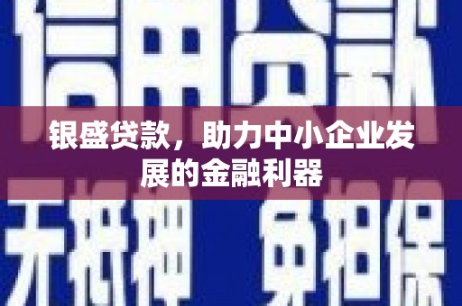 延平银盛贷款，助力中小企业发展的金融利器